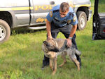 St. Paul Police K-9